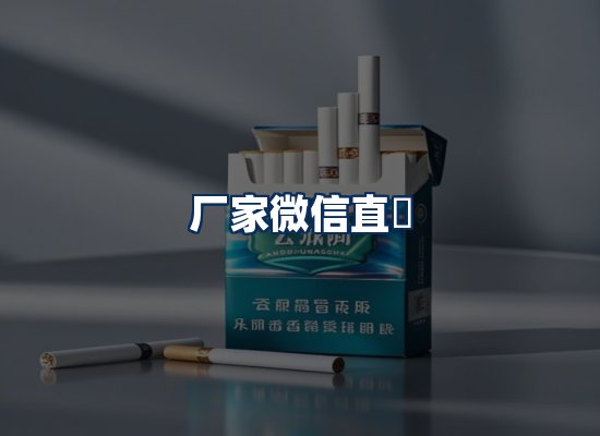 专业团队办公环境